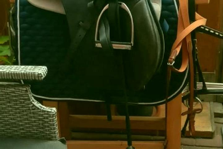 Madison, 24 — Escort in Sirksfelde, Germany