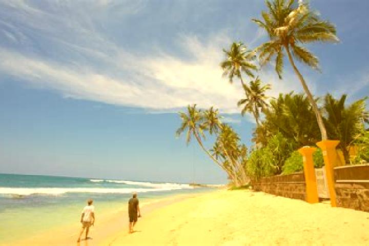 Madison, 24 — Escort in Urawatawangoda, Sri Lanka