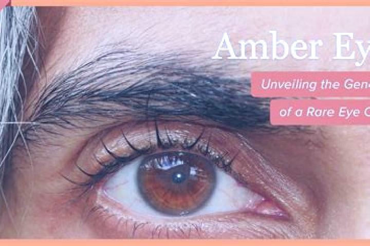 Madison, 25, a red amber-eyed caribbean companion based in Harristown. Offering Party Girl, Tantra, OWO, A-Level. Available for incall and outcall, day and e...