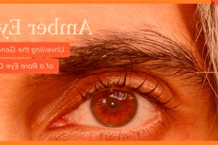 Madison, 25, a red amber-eyed slavic companion based in Grosshartmannsdorf. Offering Girlfriend Experience, A-Level, Duos. Available for incall and outcall, ...