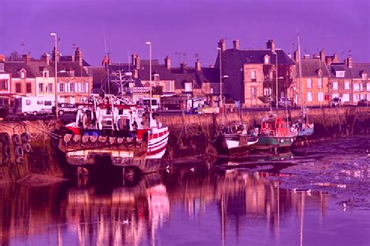 Madison, 25 — Escort in Barfleur, France