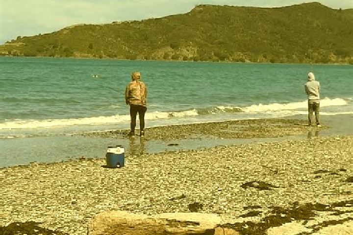 Madison, 25 — Escort in Colville, New Zealand