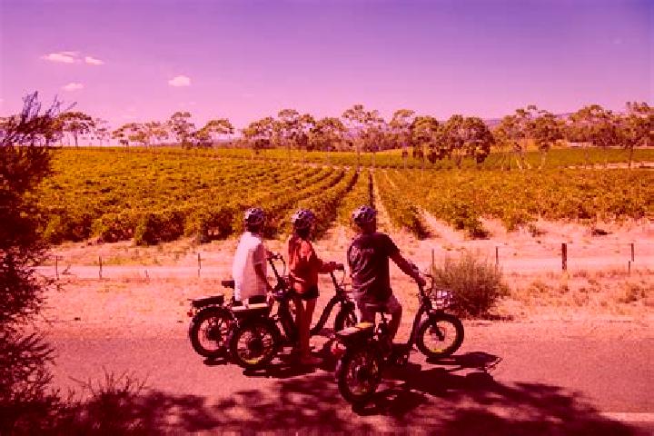 Madison, 25 — Escort in McLaren Vale, Australia