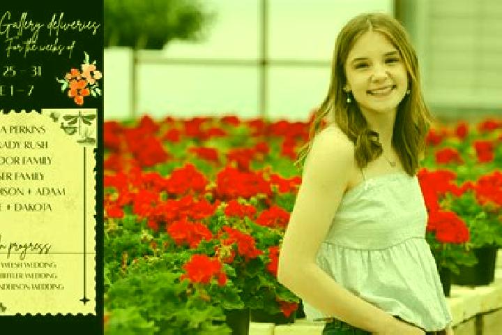 Madison, 25 — Escort in Ravanj, Iran