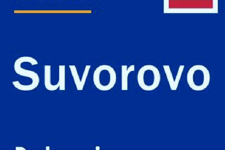 Madison, 25 — Escort in Suvorovo, Ukraine