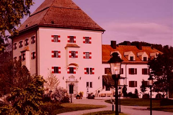 Madison, 26 — Escort in Hof bei Salzburg, Austria