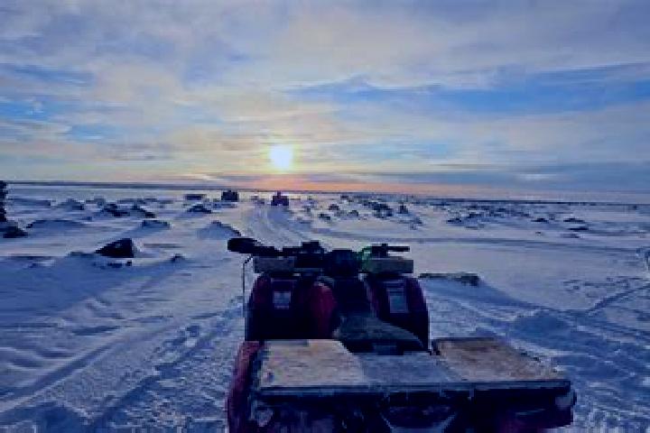Madison, 26 — Escort in Igloolik, Canada