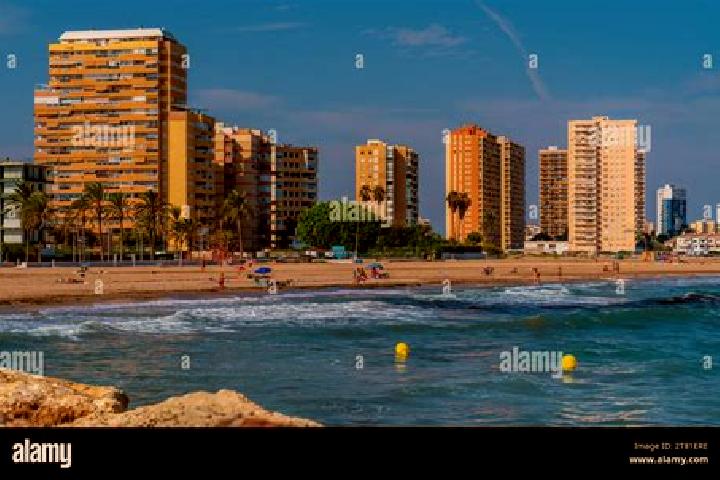Madison, 26 — Escort in La Pobla de Farnals, Spain