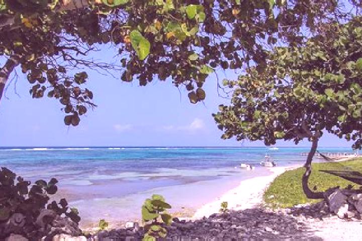 Madison, 26 — Escort in Little Cayman, Cayman Islands