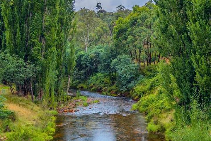 Madison, 26 — Escort in Little River, Australia
