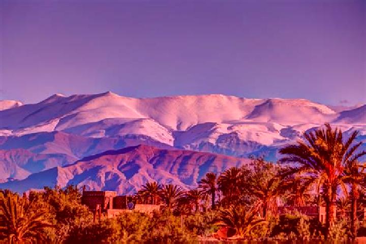 Madison, 27 — Escort in Ahfir, Morocco