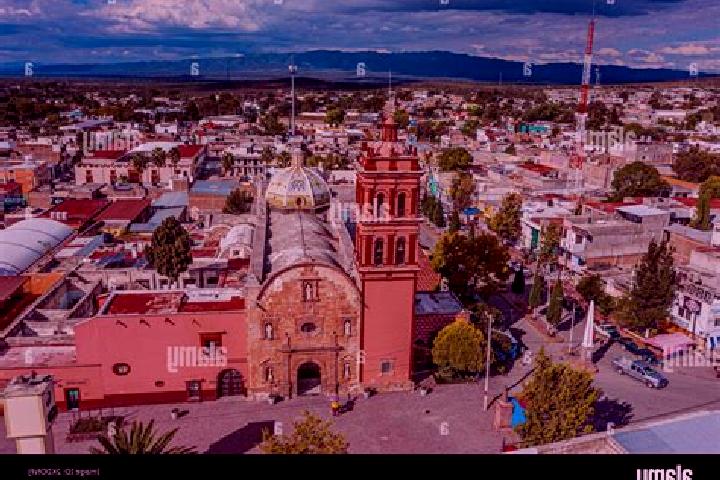 Madison, 27 — Escort in Charcas, Mexico