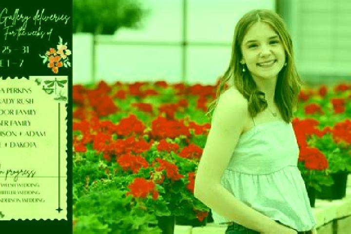 Madison, 27 — Escort in Freeville, United States