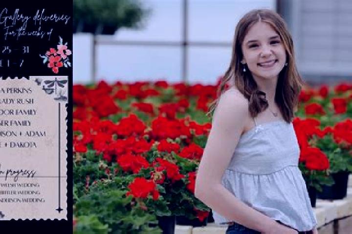 Madison, 27 — Escort in Gabcikovo, Slovakia