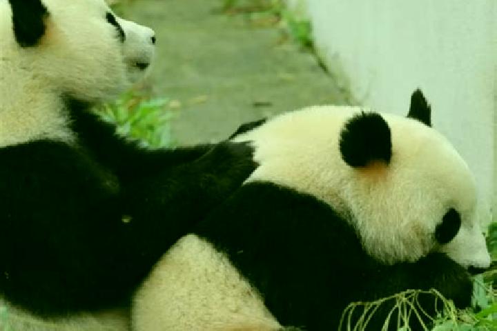 Madison, 27 — Escort in Heishui, China