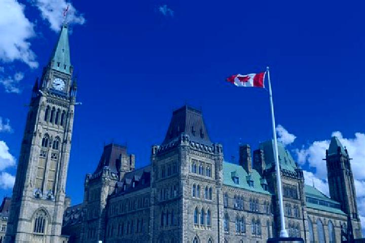 Madison, 27 — Escort in Sussex, Canada