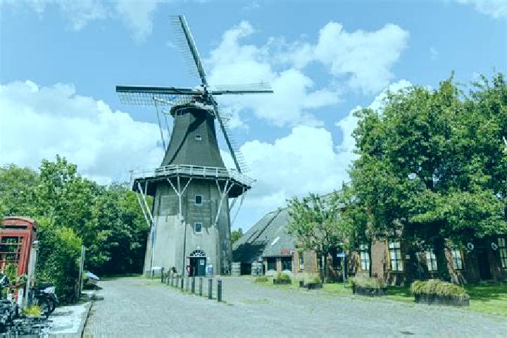 Madison, 27 — Escort in Vrouwenparochie, Netherlands