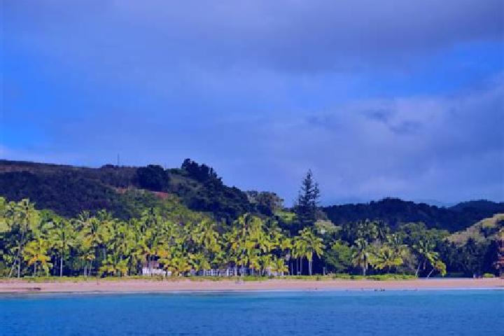 Madison, 28 — Escort in Avarua, Cook Islands