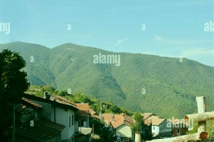 Madison, 28 — Escort in Carrega Ligure, Italy