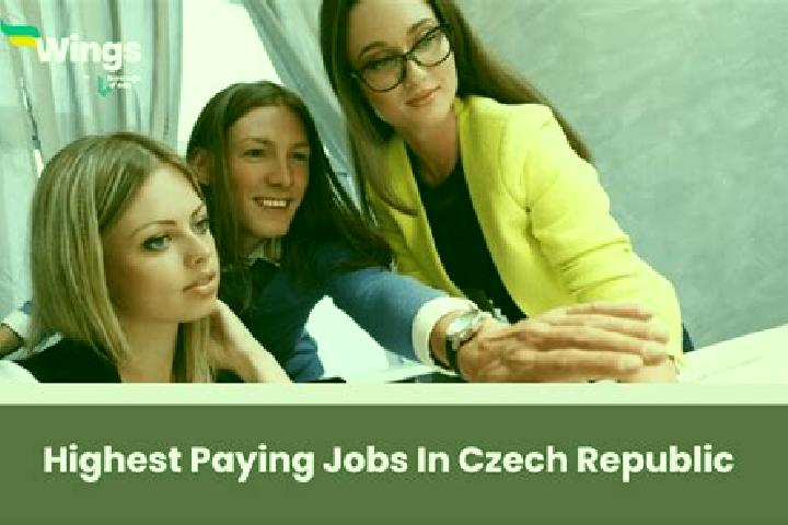 Madison, 28 — Escort in Kresice, Czech Republic