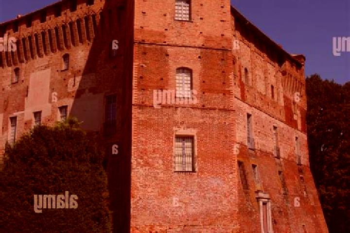 Madison, 28 — Escort in Monticello d Alba, Italy
