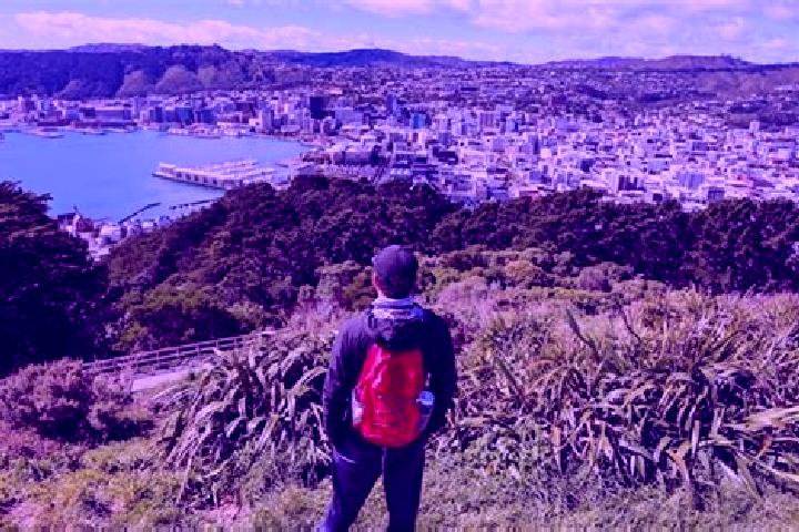 Madison, 28 — Escort in Mount Victoria, New Zealand