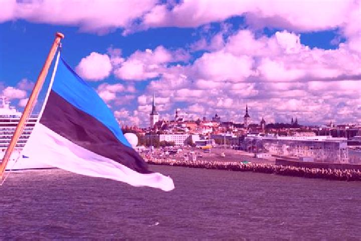 Madison, 28 — Escort in Paernamaee, Estonia
