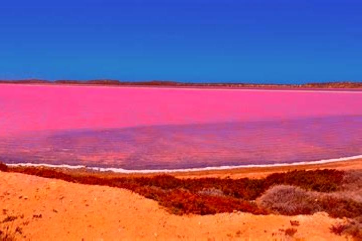Madison, 28 — Escort in Pink Lake, Australia