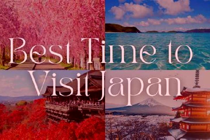 Madison, 28 — Escort in Tara, Japan