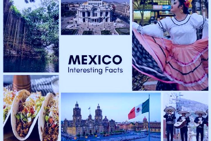 Madison, 28 — Escort in Texin, Mexico