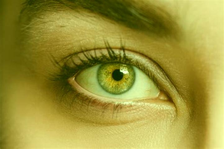 Madison, 29, a chestnut hazel-eyed mixed companion based in Sussex. Offering A-Level, Domination, Couples. Available for incall and outcall, overnight bookin...