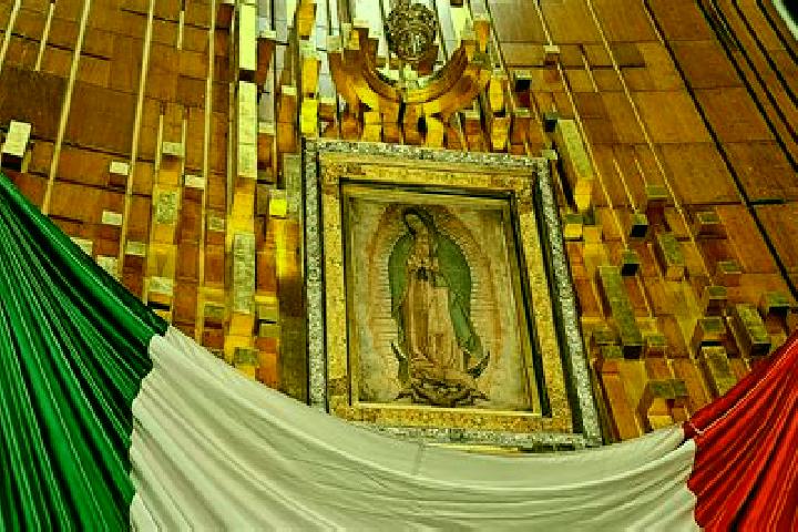 Madison, 29 — Escort in Colonia Guadalupe, Mexico