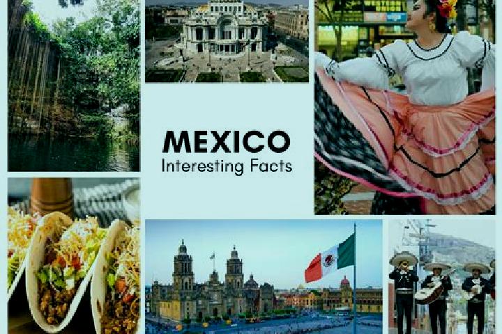 Madison, 29 — Escort in El Contento, Mexico