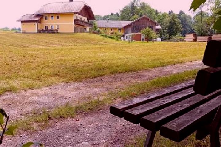 Madison, 29 — Escort in Eugendorf, Austria