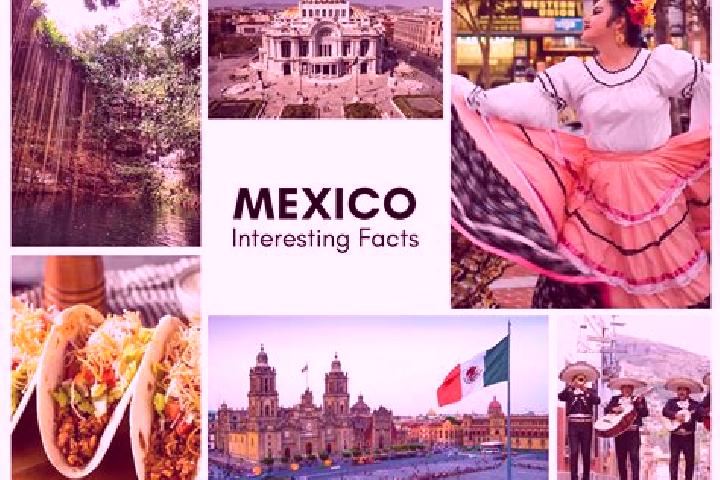 Madison, 29 — Escort in Fredepo, Mexico