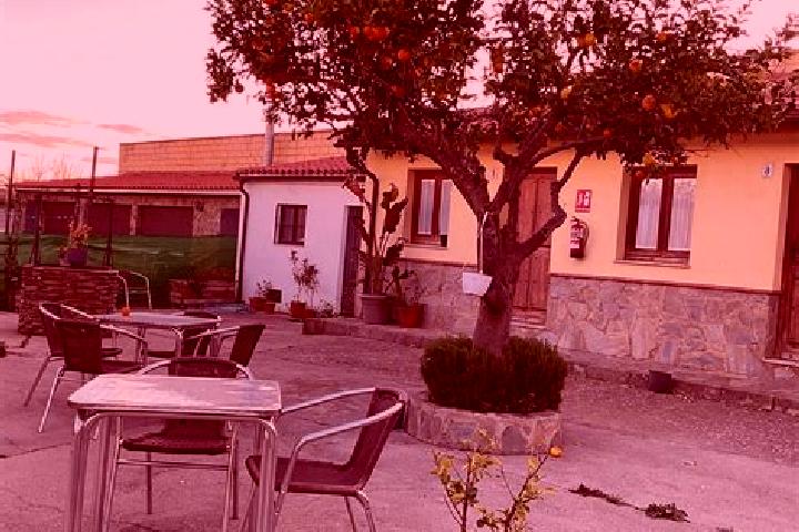 Madison, 29 — Escort in Garrovillas, Spain