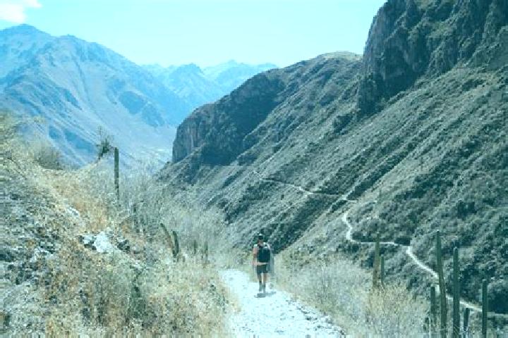 Madison, 29 — Escort in Huayllo, Peru