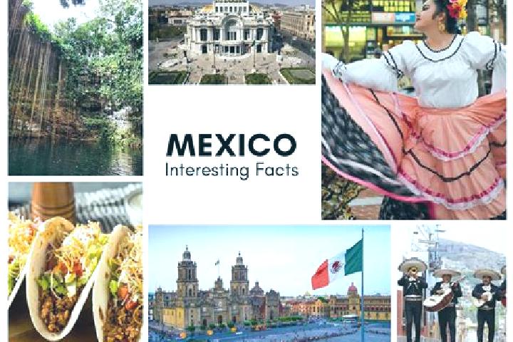 Madison, 29 — Escort in Huitzatarito, Mexico