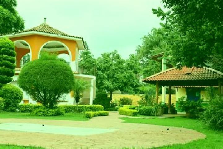 Madison, 30 — Escort in Ahuacatitlan Cuarto y Quinto Cuartel, Mexico
