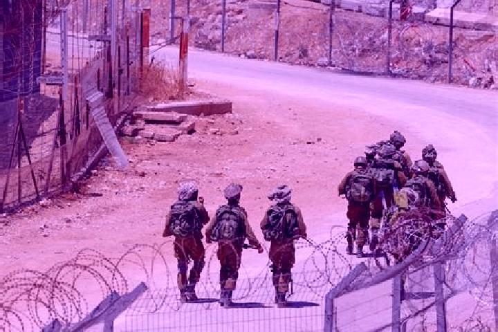 Madison, 30 — Escort in An Nazlah ash Sharqiyah, Palestine