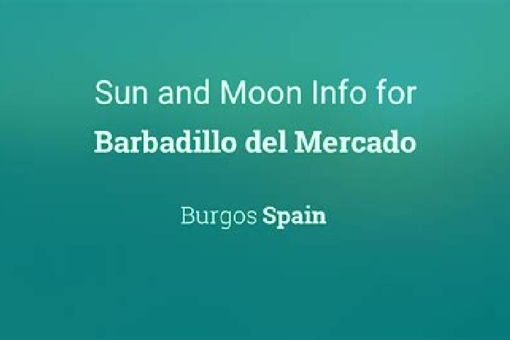 Madison, 30 — Escort in Barbadillo del Mercado, Spain