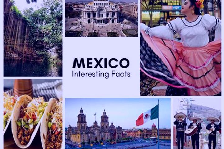 Madison, 30 — Escort in Francisco Rueda, Mexico
