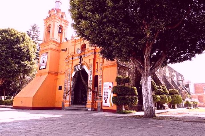 Madison, 30 — Escort in Guadalupe Totoltepec, Mexico