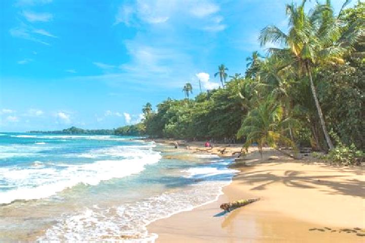 Madison, 30 — Escort in Playa Chiquita, Panama