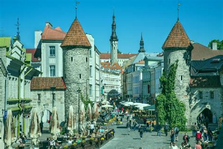 Madison, 30 — Escort in Pohja-Tallinn, Estonia