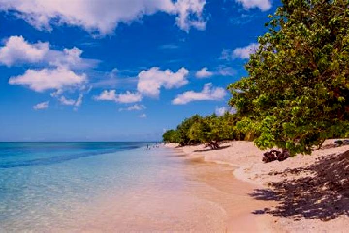Madison, 30 — Escort in Pointe-a-Pitre, Guadeloupe
