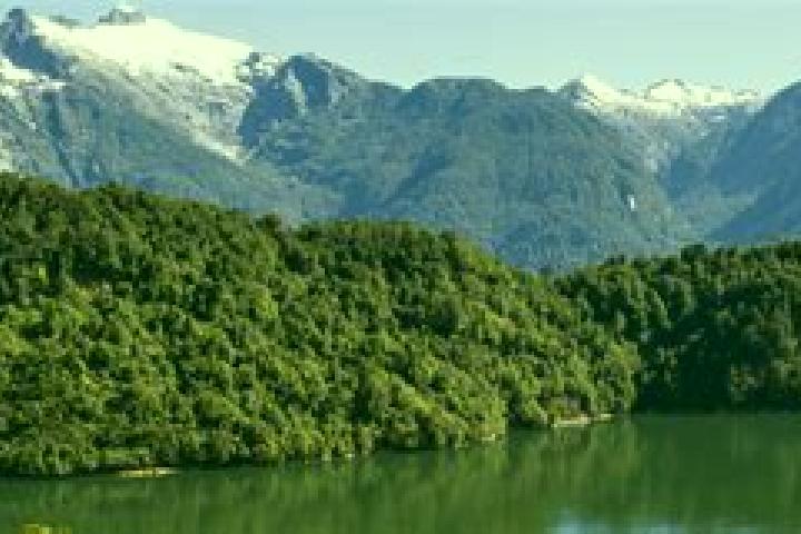 Madison, 30 — Escort in Puerto Chacabuco, Chile