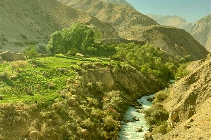 Madison, 30 — Escort in Qubodiyon, Tajikistan