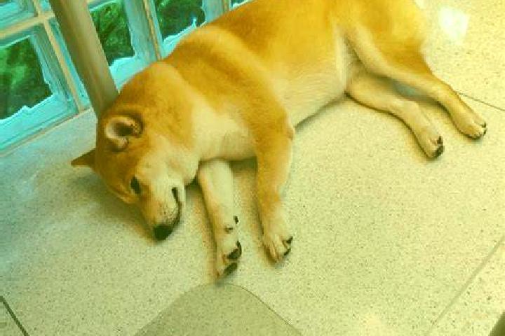 Madison, 30 — Escort in Shiba, China