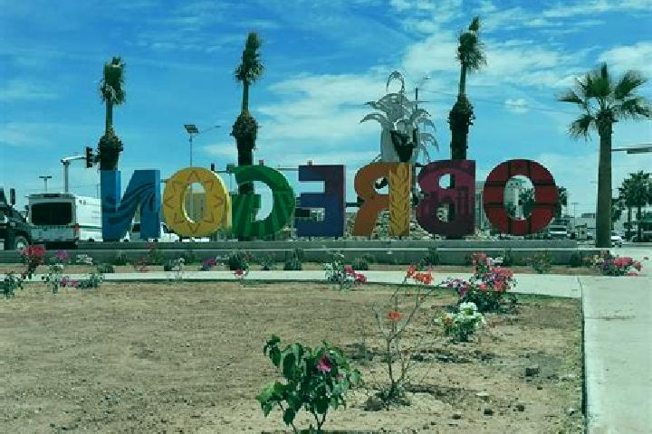 Madison, 31 — Escort in Alvaro Obregon, Mexico
